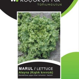 Marul Tohumu KIVIRCIK ALEYNA (Kışlık Kıvırcık) Küçükçiflik
