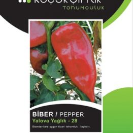 Biber Tohumu Kapya Yağlık-28 Küçükçiftlik
