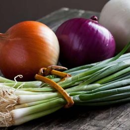 Soğan Tohumu