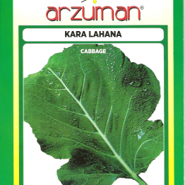 Yaprak (Kara) Lahana Tohumu Arzuman