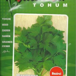 Maydonoz Tohumu Bezirci Balıkesir