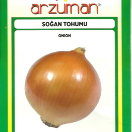 Soğan Tohumu Valenciana Arzuman