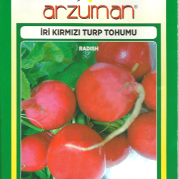 Turp Tohumu Beyaz kırmızı Arzuman