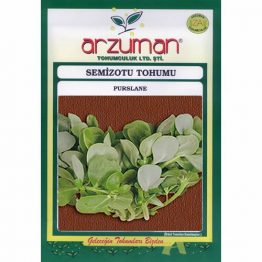 Semizotu Tohumu Arzuman