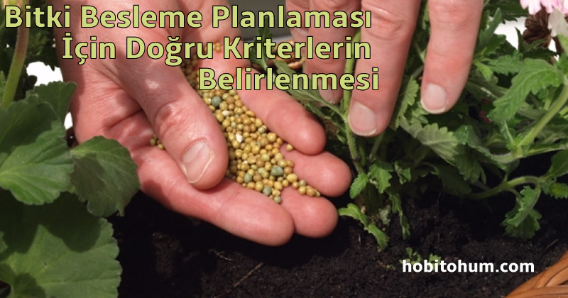 Bitki Besleme Planlaması İçin Doğru Kriterlerin Belirlenmesi