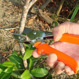 Alternative view of Eltu 422E / 200mm Budama Makası İzoleli