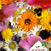 Karışık Çiçekler