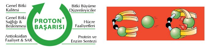 proton-basarisi-hobitohum-drt