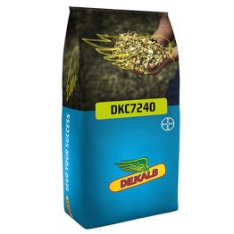 mısır tohumu dekalb 7240 paketi