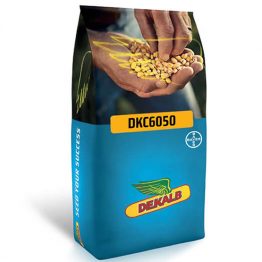 Mısır Tohumu Silajlık Dekalb DKC6050 paketi