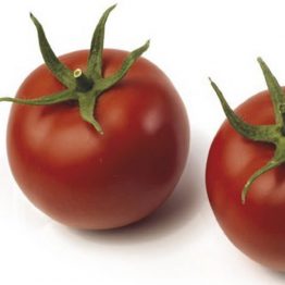 Domates Tohumu Sırık Akın F1 nunhems