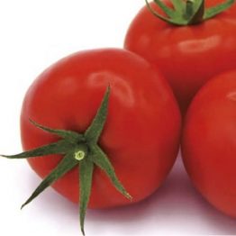Domates Tohumu Sırık Attalos F1 nunhems