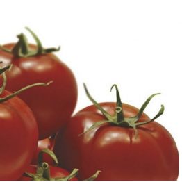 Domates Tohumu Sırık Bestona F1 nunhems