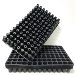 fide Viyolü 104 Gözlü