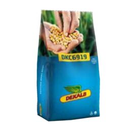 dekalb 6919 mısır tohumu torbası, hobitohum